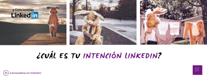 ¿Cuál es tu intención LinkedIn?